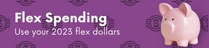 FSA/HSA Flex Spending
